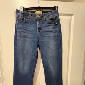 Democracy Classic Indigo Straight Leg Jeans